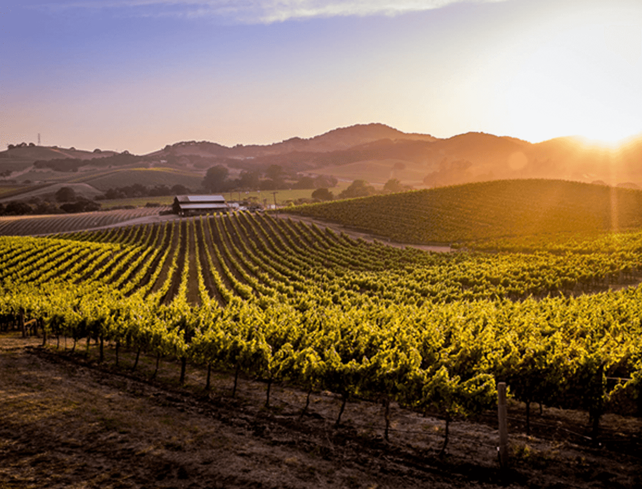 Santa Rosa, CA properties